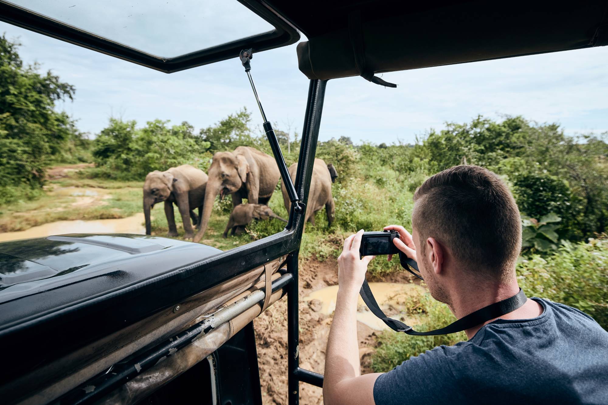 elephants sri lanka wildlife parks tours bookings