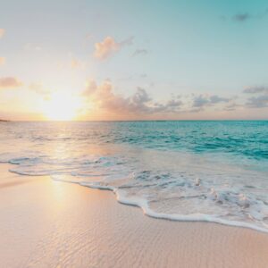 seashore during golden hour