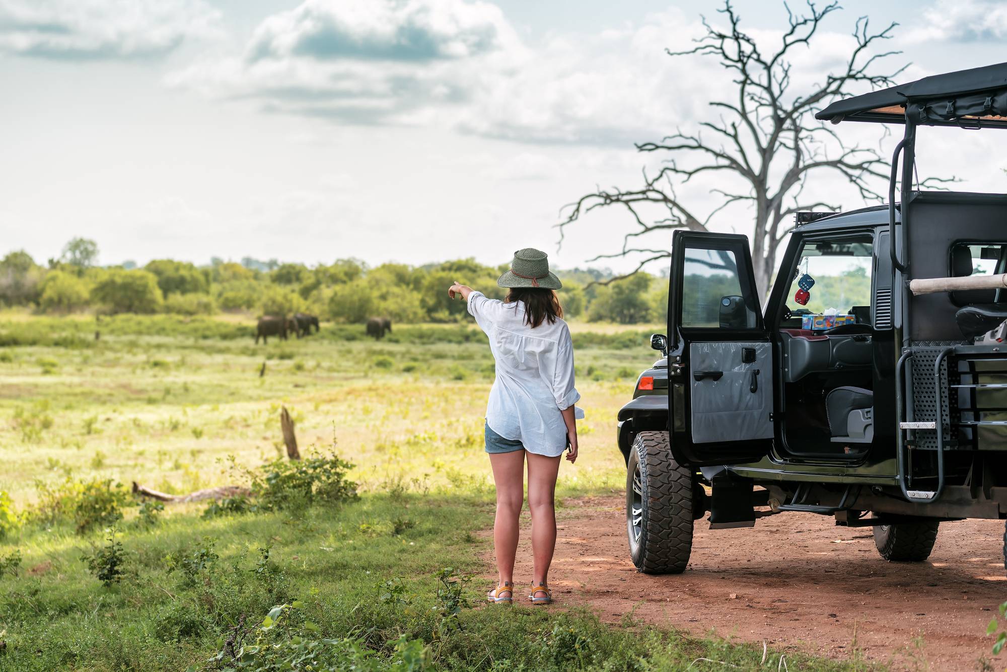 wildlife sri lanka tours safari trips