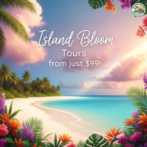 best day tours sri lanka island bloom tours