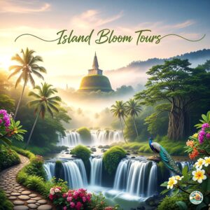 4 Day Tour