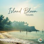 1 Day Tour - Galle Fort & Southern Coast Excursion