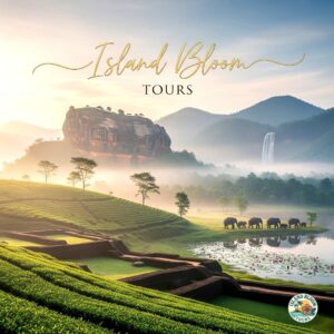 1 Day Tour - Sigiriya Rock Fortress & Dambulla Cave Temples