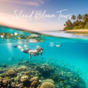 1 Day Tour - Snorkel with The Turtles & Galle Fort Adventure Day!