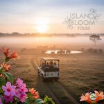 1 Day Tour - Udawalawe National Park Wildlife Safari