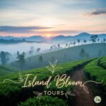 1 Day Tour - Scenic Hill Country: Ella & Tea Plantation