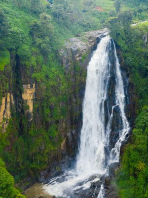 A beautiful waterfall among the rainforest and vegetation. Devon Falls, Sri Lanka.