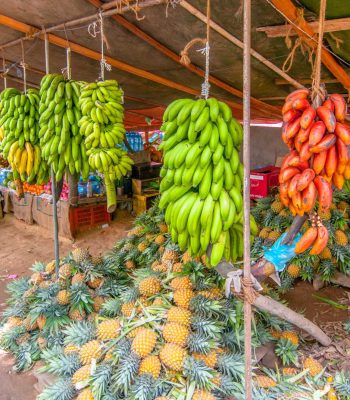 fruit and produce in sri lanka coconut pinapple